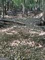 92 Lillian Strong Road - Photo 23
