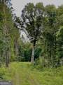 92 Lillian Strong Road - Photo 37