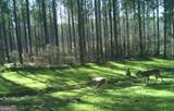 92 Lillian Strong Road - Photo 41