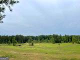 92 Lillian Strong Road - Photo 46