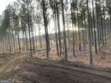 92 Lillian Strong Road - Photo 51