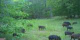 92 Lillian Strong Road - Photo 81