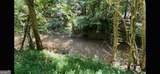 4542 Hall Road - Photo 7