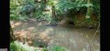 4542 Hall Road - Photo 8
