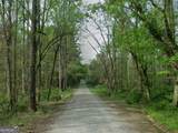 0 Mitchell Road - Photo 3