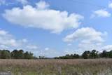 0 Oak Tree Road - Photo 4