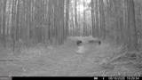 8 Bunch Road - Photo 10