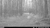 8 Bunch Road - Photo 11