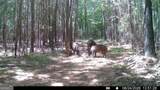 8 Bunch Road - Photo 12