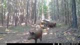 8 Bunch Road - Photo 13