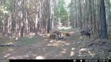 8 Bunch Road - Photo 14