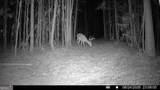 8 Bunch Road - Photo 15