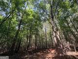 8 Bunch Road - Photo 24