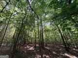 8 Bunch Road - Photo 28