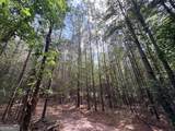 8 Bunch Road - Photo 31