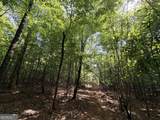 8 Bunch Road - Photo 37