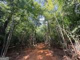 8 Bunch Road - Photo 39
