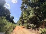 8 Bunch Road - Photo 43