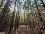 8 Bunch Road - Photo 52