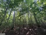 8 Bunch Road - Photo 54