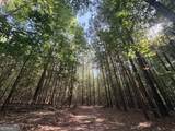 8 Bunch Road - Photo 57