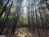 8 Bunch Road - Photo 62