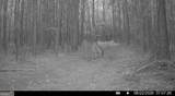 8 Bunch Road - Photo 8