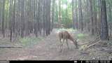 8 Bunch Road - Photo 9