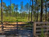 2920 Airline Road - Photo 1