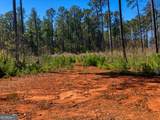 2920 Airline Road - Photo 5