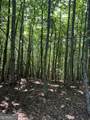 TRACT A Oak Ledge Road - Photo 3