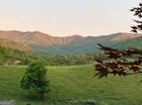 206 Bethabara Loop - Photo 49