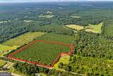 ALLEN LOT Turkey Creek Road - Photo 2
