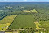 ALLEN LOT Turkey Creek Road - Photo 3