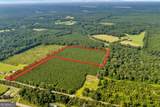 ALLEN LOT B Turkey Creek Road - Photo 3
