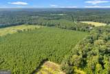 ALLEN LOT B Turkey Creek Road - Photo 5