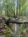 0001 Sandy Cross Road - Photo 4