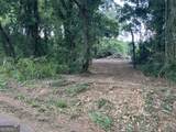 0 Durand Highway - Photo 4