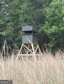 1 Frazier Road - Photo 1