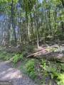 HEMLOCK Hemlock Trail - Photo 1