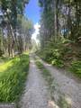 HEMLOCK Hemlock Trail - Photo 2