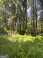 HEMLOCK Hemlock Trail - Photo 3