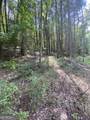 HEMLOCK Hemlock Trail - Photo 8