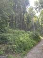 HEMLOCK Hemlock Trail - Photo 9