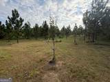 0 Oak Grove Road - Photo 12