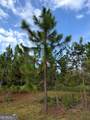 0 Oak Grove Road - Photo 14