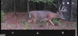0 Oak Grove Road - Photo 25