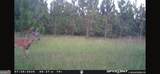 0 Oak Grove Road - Photo 26