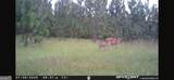 0 Oak Grove Road - Photo 27