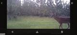 0 Oak Grove Road - Photo 30